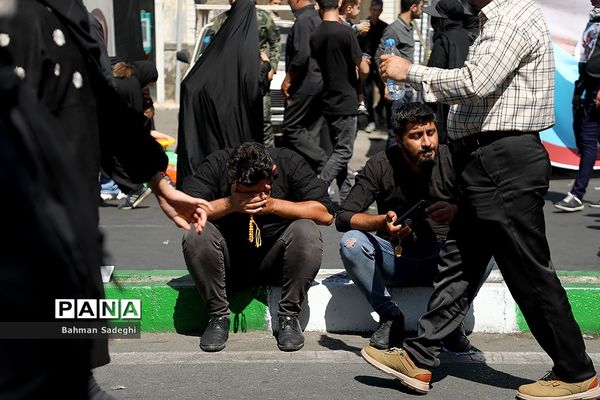 پیاده‌روی جاماندگان اربعین-تهران /3