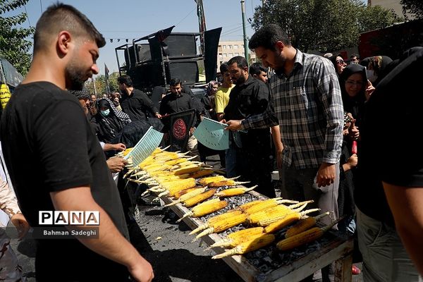 پیاده‌روی جاماندگان اربعین-تهران /3