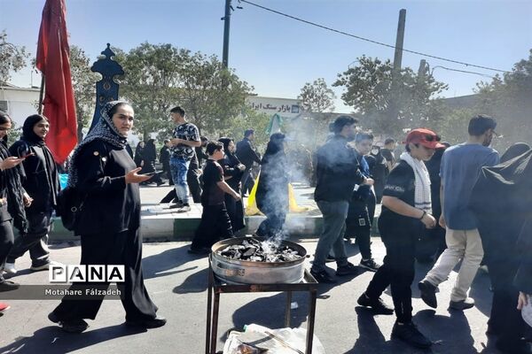 جاماندگان اربعین درحال حرکت به سمت حرم حضرت عبدالعظیم حسنی (ع)