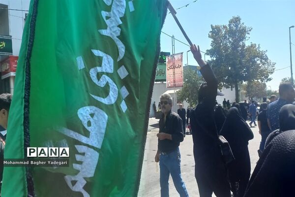 مراسم پیاده‌‌روی دلدادگان حسینی(ع) در تهران
