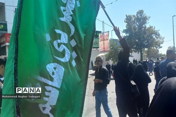 مراسم پیاده‌‌روی دلدادگان حسینی(ع) در تهران