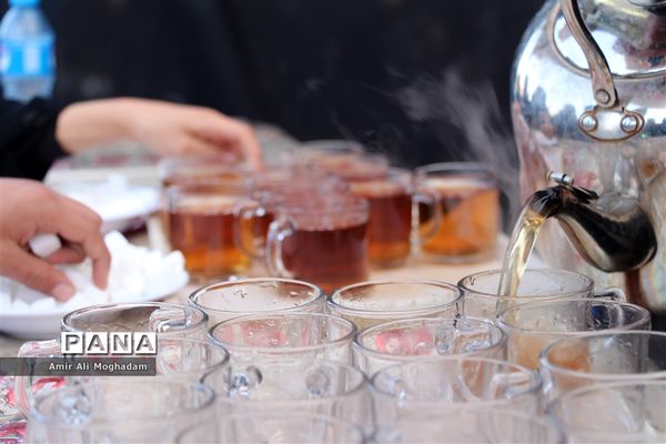 پیاده‌روی جاماندگان اربعین-مشهد