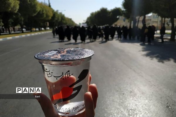 پیاده‌روی جاماندگان اربعین در شهرستان شاهین شهر