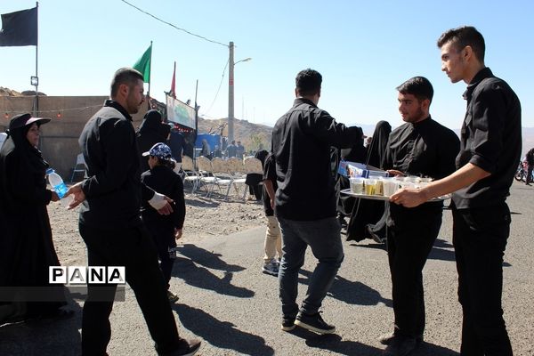 موکب فرزندان حاج قاسم زنجان در پیاده‌روی جاماندگان اربعین حسینی