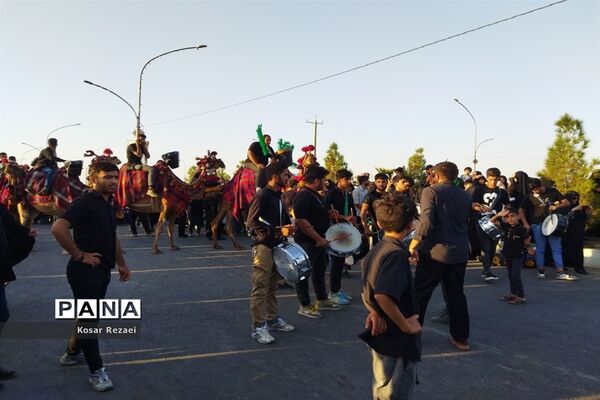 راهپیمایی اربعینی زائران سیدالشهدا(ع) در قم-3