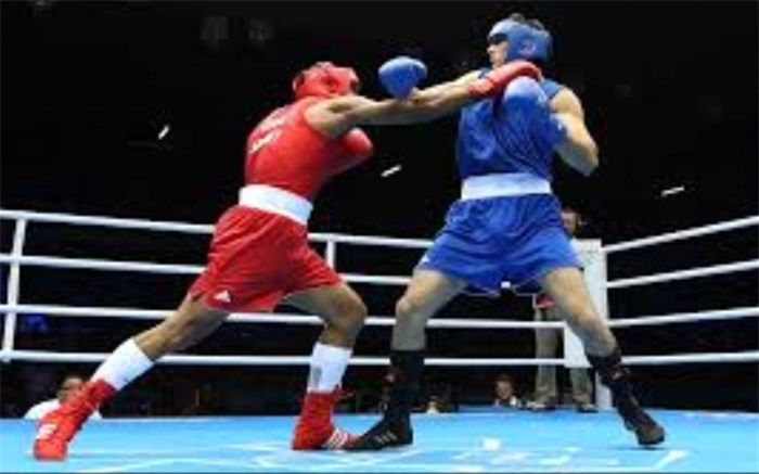 سید روح‌الله حسینی سرپرست فدراسیون بوکس شد