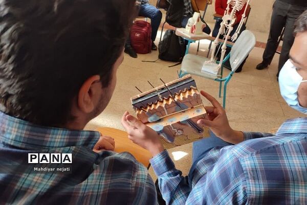 نشست زیست‌‌شناسی در مرکز استعدادهای درخشان شهید بهشتی