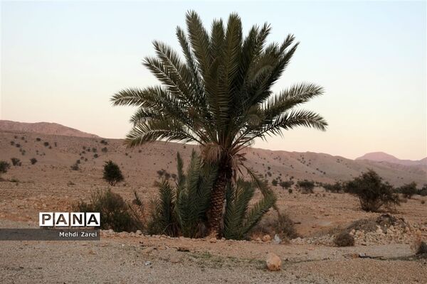 طبیعت زیبای بند ریگ فراشبند