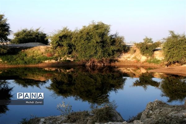 طبیعت زیبای بند ریگ فراشبند