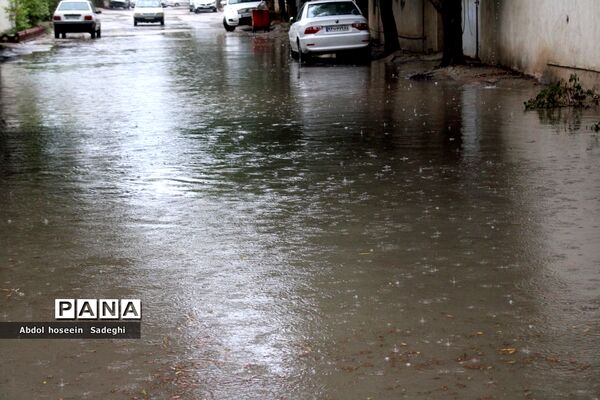 بارش باران و آبگرفتگی معابر در بوشهر