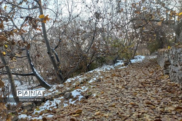 طبیعت برفی دماوند