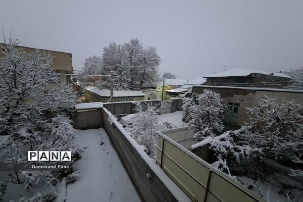 طبیعت برفی دماوند