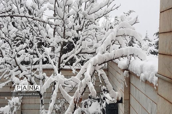 طبیعت برفی دماوند