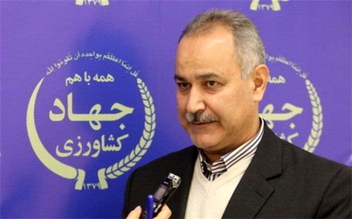 هدفگذاری برای اجرای ۵۰۰ هزار هکتار کشاورزی حفاظتی در سال زراعی جاری