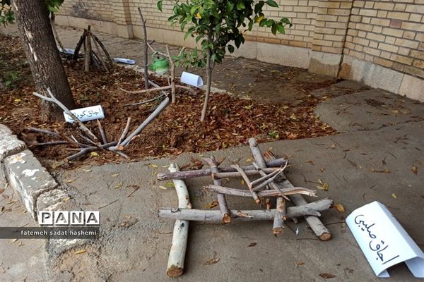 برگزاری کارگاه آموزشی تشکیلات ویژه یاورمربیان ناحیه 3 شیراز