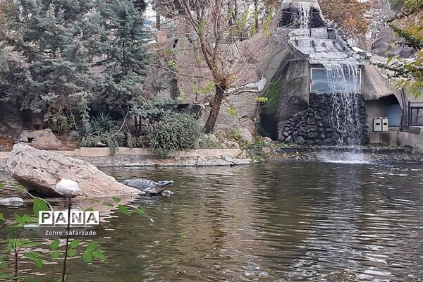 باغ وحش ارم در یک روز تعطیل  پاییزی