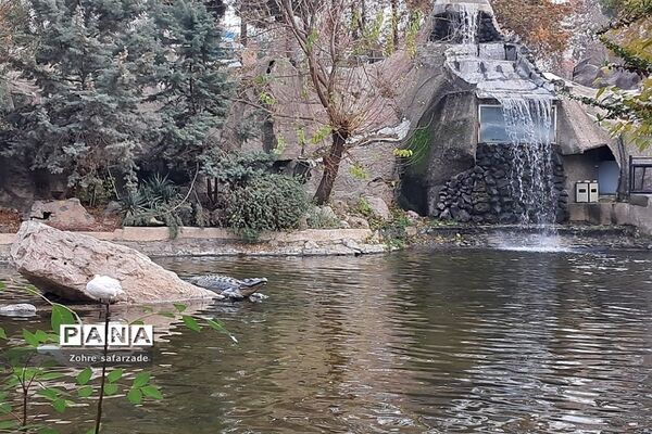 باغ وحش ارم در یک روز تعطیل  پاییزی