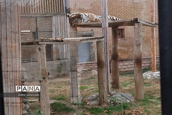 باغ وحش ارم در یک روز تعطیل  پاییزی