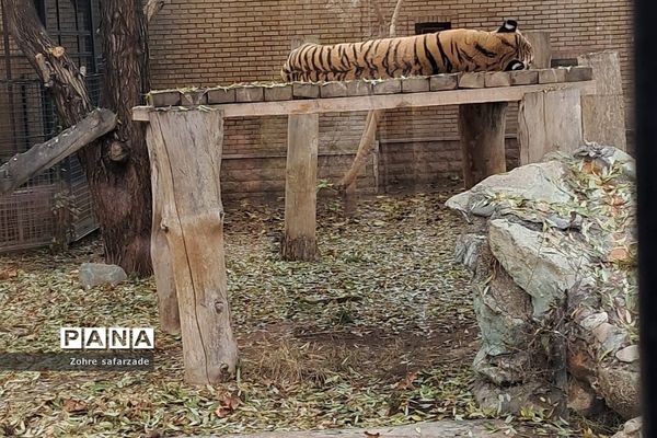 باغ وحش ارم در یک روز تعطیل  پاییزی