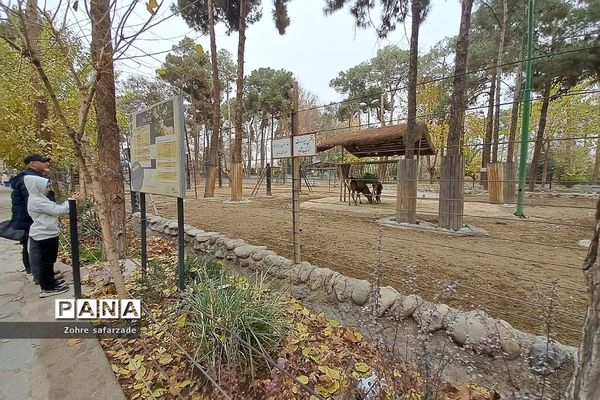 باغ وحش ارم در یک روز تعطیل  پاییزی