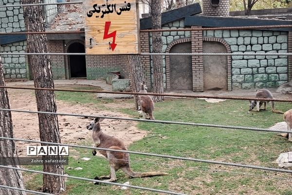 باغ وحش ارم در یک روز تعطیل  پاییزی