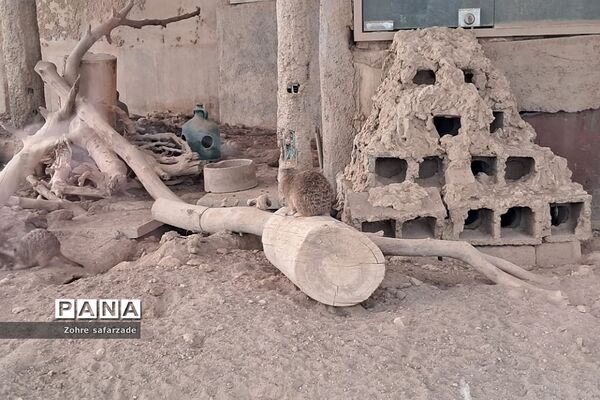 باغ وحش ارم در یک روز تعطیل  پاییزی