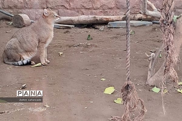 باغ وحش ارم در یک روز تعطیل  پاییزی