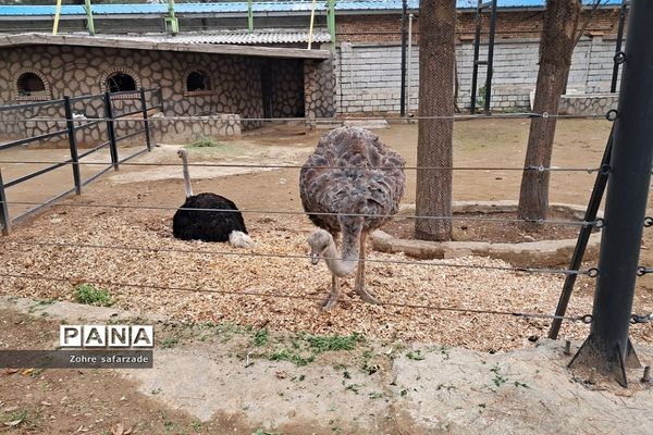 باغ وحش ارم در یک روز تعطیل  پاییزی