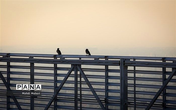 دانشگاه‌های البرز تعطیل شد