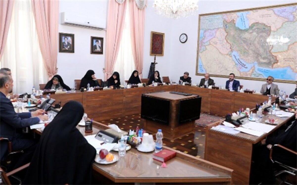 نشست وزیر امور خارجه با جمعی از مقامات حقوق بشری