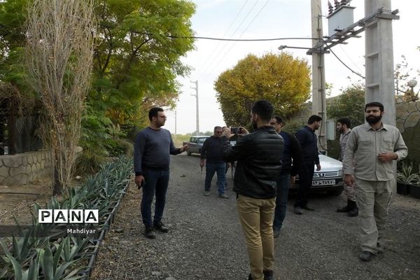 بازدید از مزرعه کرفس شهر جوادآباد