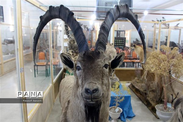 سفر یک روزه رئیس سازمان دانش‌آموزی استان یزد به بهاباد