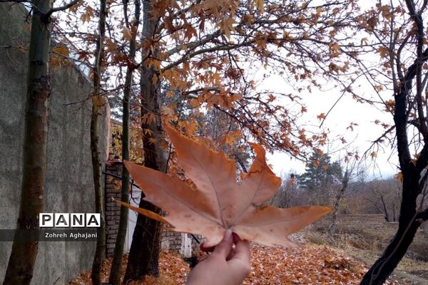 آخرین روزهای پاییزی در روستای بیدهند قم
