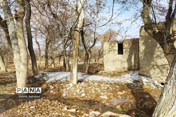 آخرین روزهای پاییزی در روستای بیدهند قم