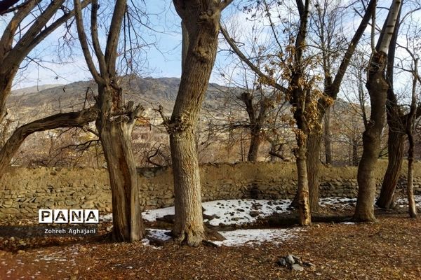 آخرین روزهای پاییزی در روستای بیدهند قم