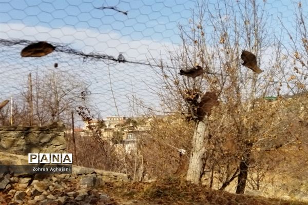 آخرین روزهای پاییزی در روستای بیدهند قم