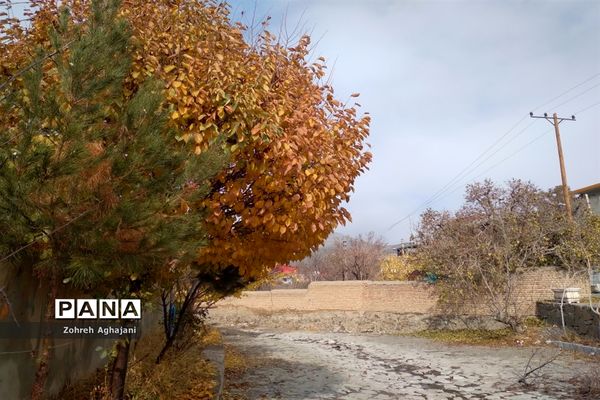 آخرین روزهای پاییزی در روستای بیدهند قم