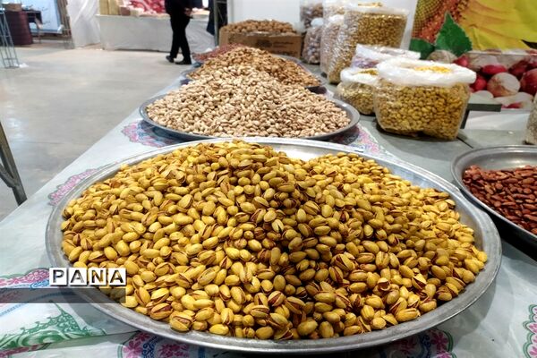 نمایشگاه یلدایی گل و گیاه و صنایع دستی در قم