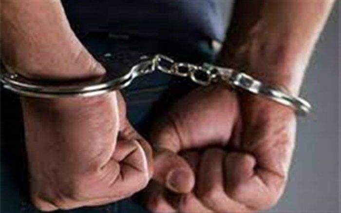 دستگیری عامل اغتشاشات پاساژ علاءالدین