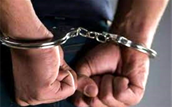 دستگیری عامل اغتشاشات پاساژ علاءالدین