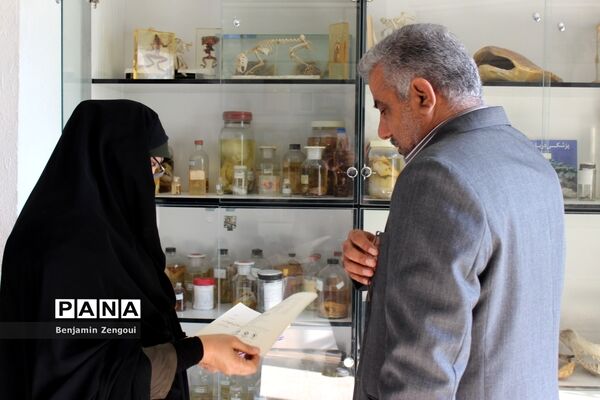 نمایشگاه هنرهای تجسمی در بوشهر