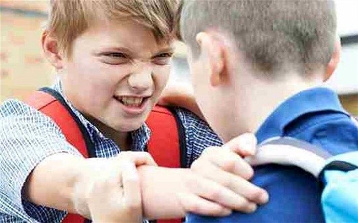 خشونت و پرخاشگری، زمینه‌ را برای سایر آسیب‌های اجتماعی  فراهم می‌کند