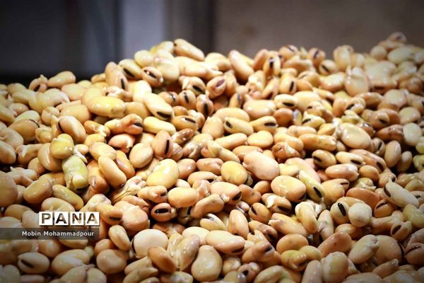 حال و هوای یلدایی بازار تبریز