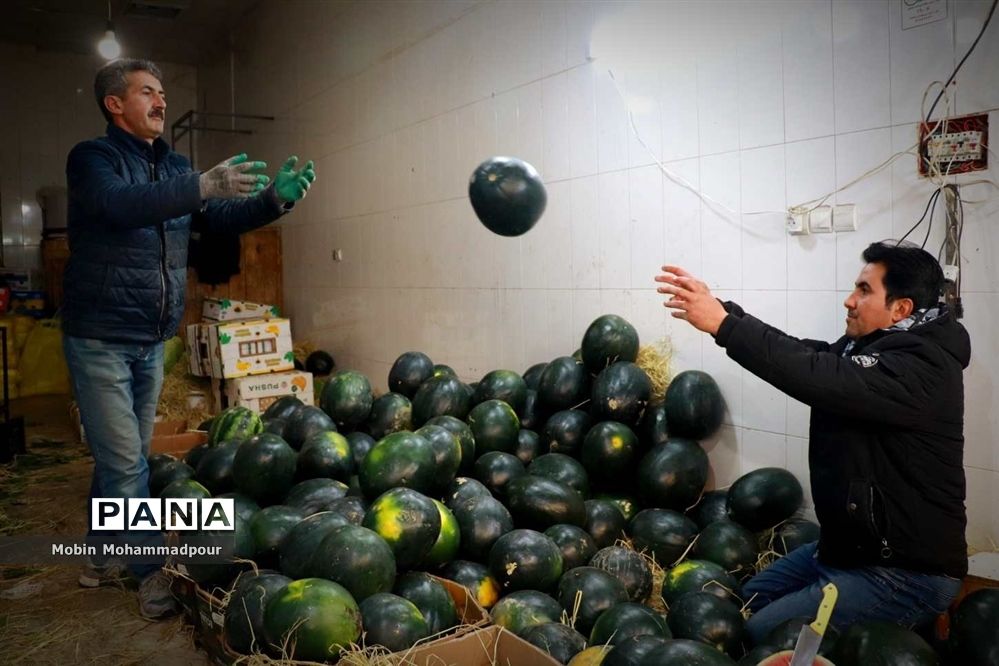 حال و هوای یلدایی بازار تبریز