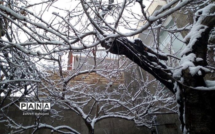 هشدار بارش برف و باران در اکثر نقاط کشور