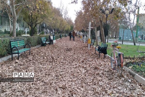 برگواره پاییزی ویژه نوجوانان