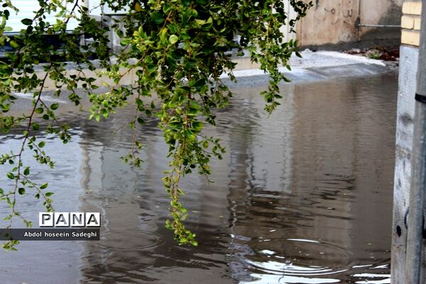 بارش باران و آبگرفتگی معابر در بوشهر