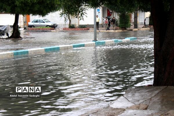 بارش باران و آبگرفتگی معابر در بوشهر