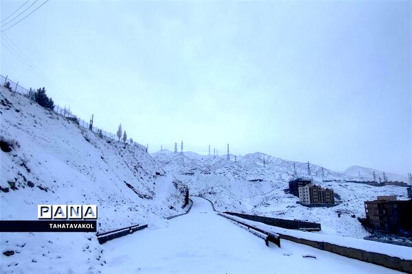 بارش برف زمستانی در پردیس
