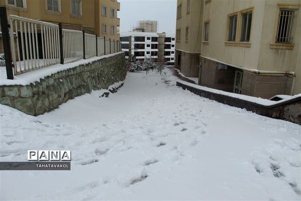 بارش برف زمستانی در پردیس